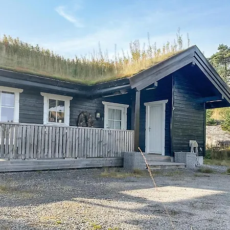 Feriehus 3 Bedroom In Vrådal